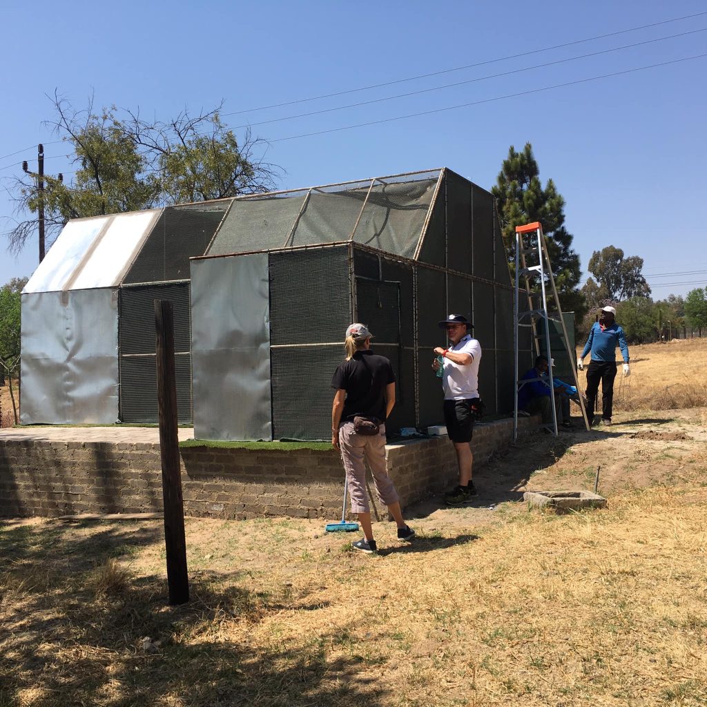 Friends of Free Wildlife