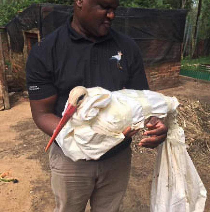 Friends of Free Wildlife