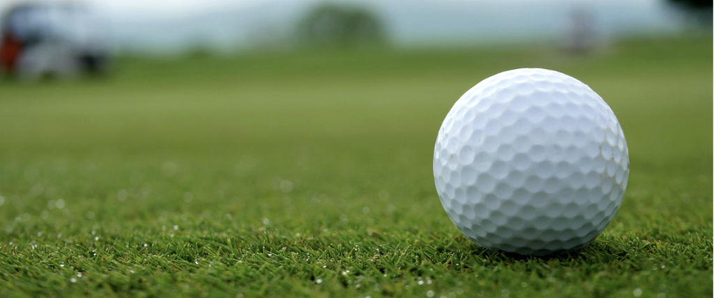 Friends of Free Wildlife