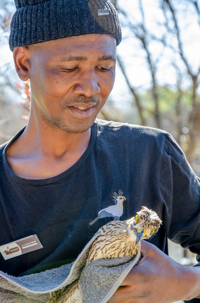 Friends of Free Wildlife