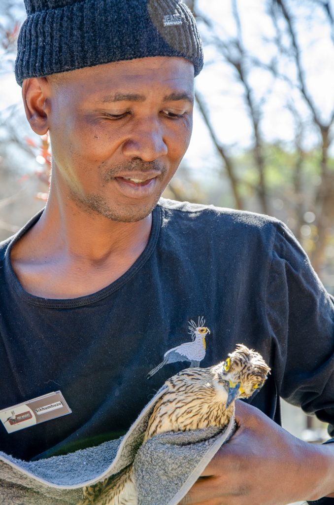 Friends of Free Wildlife