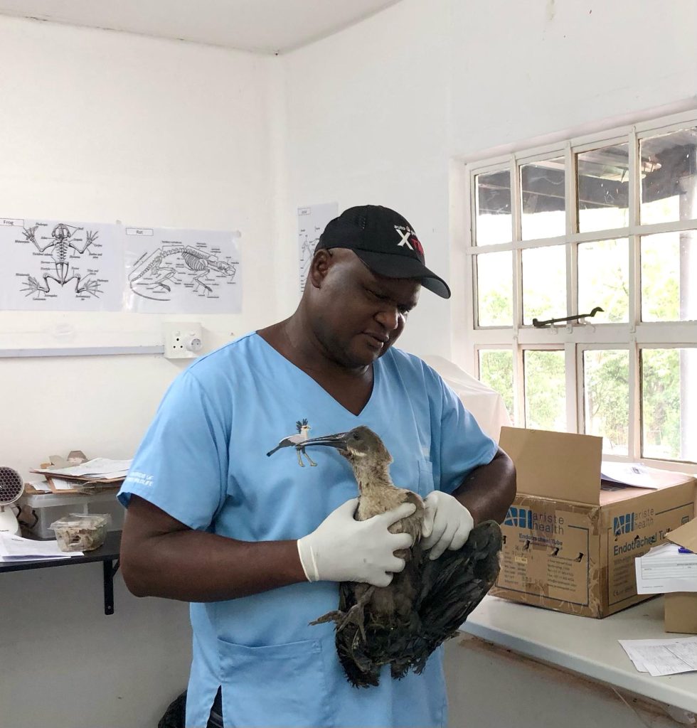 Friends of Free Wildlife