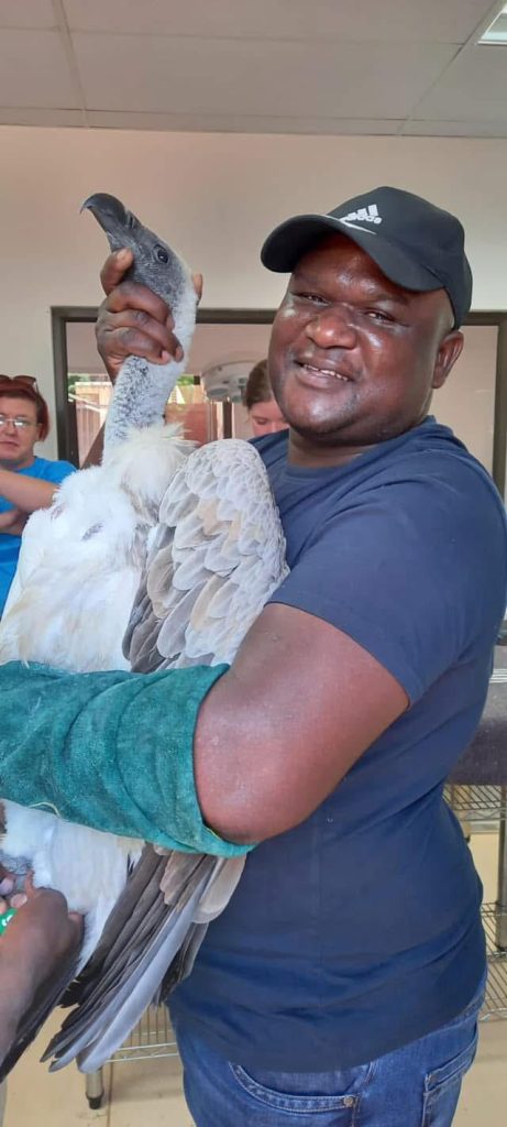 Friends of Free Wildlife