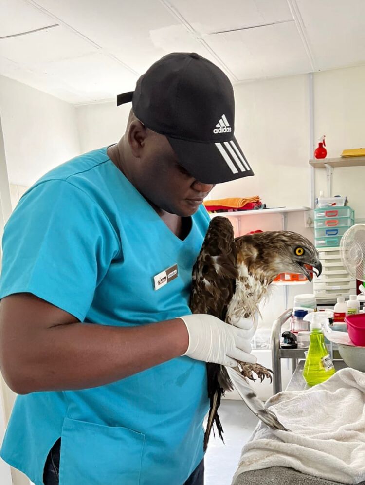 Friends of Free Wildlife