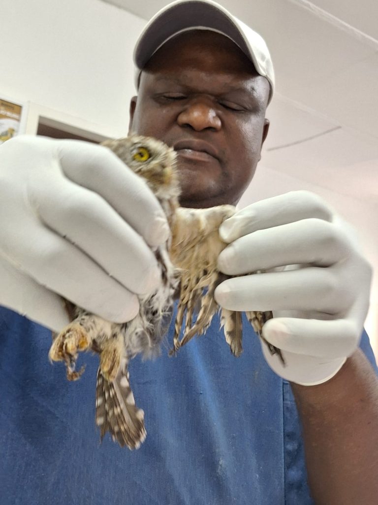 Friends of Free Wildlife