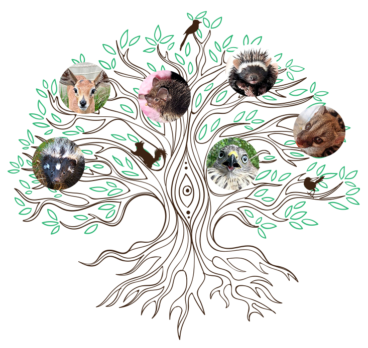 Friends of Free Wildlife