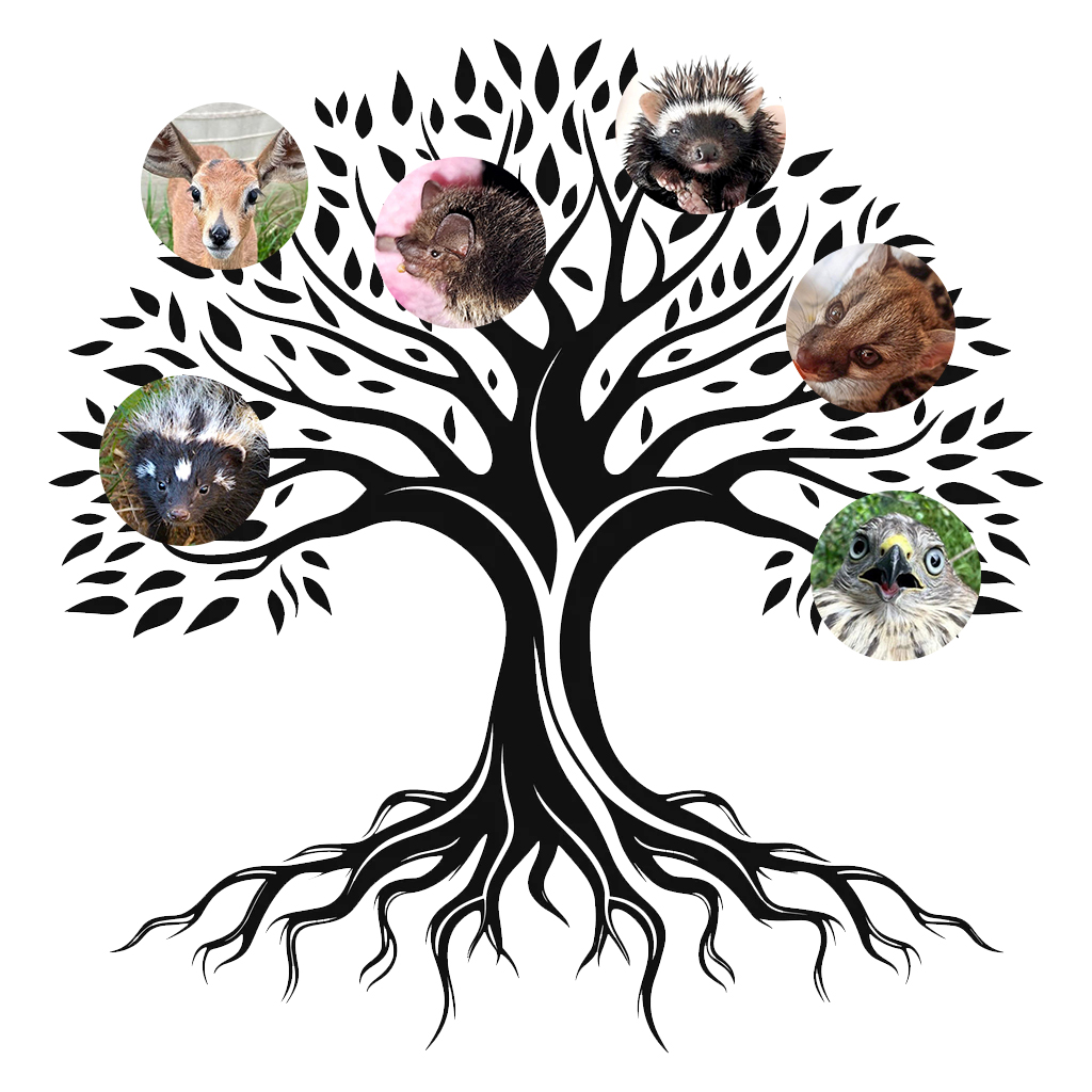 Friends of Free Wildlife