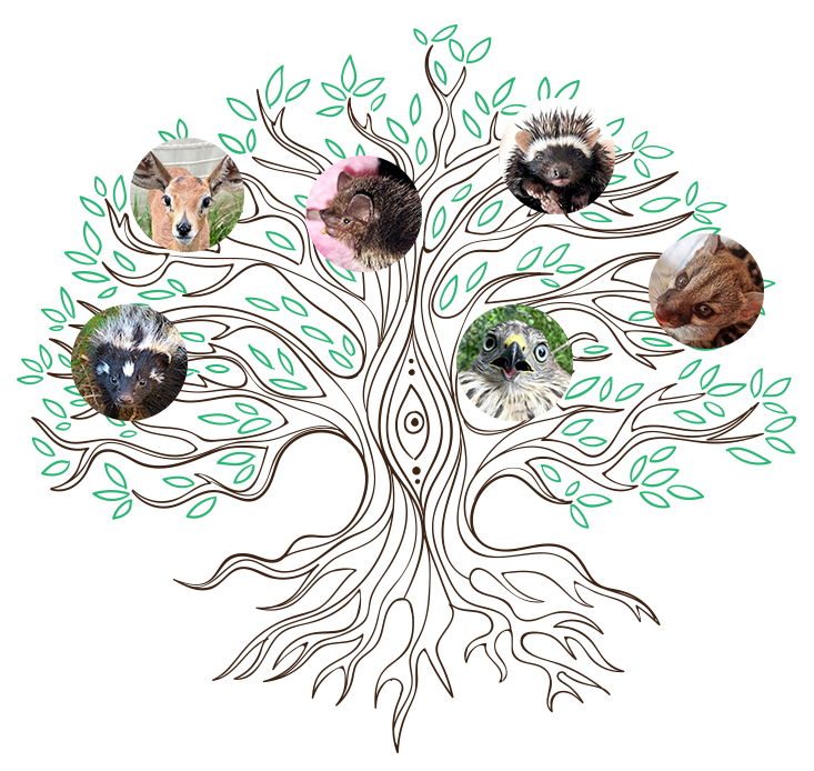 Friends of Free Wildlife