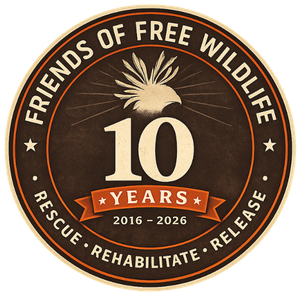 Friends of Free Wildlife